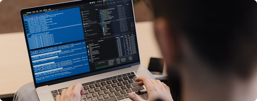 Custom Software Development
